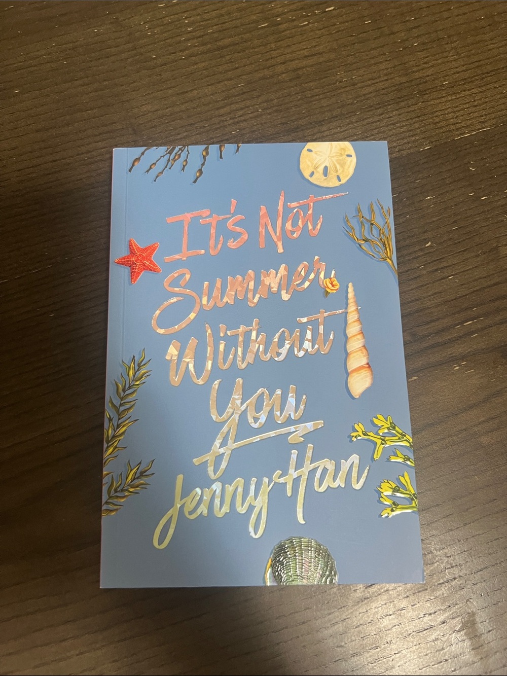 It's Not Summer Without You by Jenny Han
